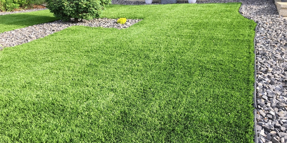 Bermuda Grass Vs. Centipede Grass