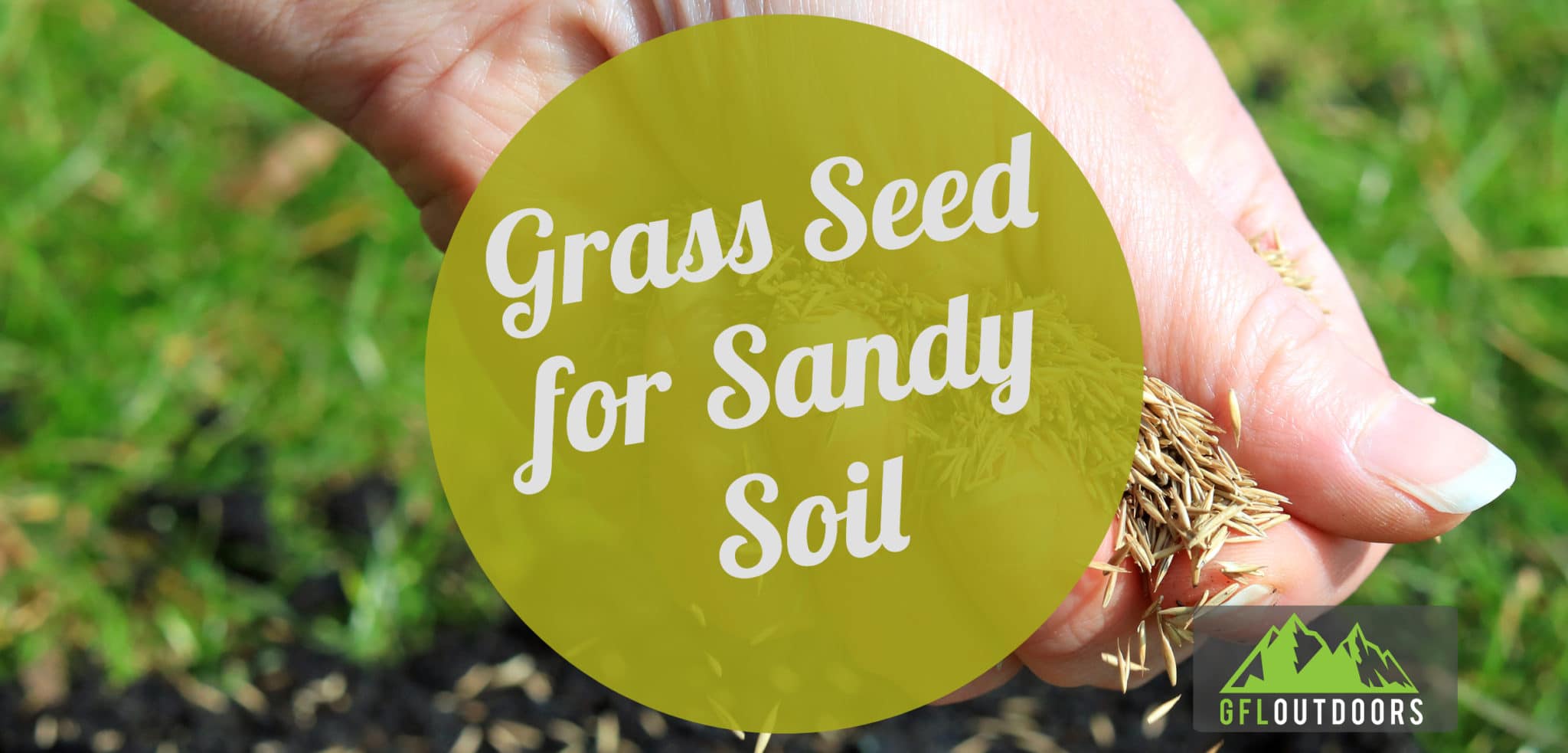 Best Grass Seed For Sandy Soil In Nc Picking the Top Grass Seed for Sandy Soil: [Coastal Grass Done Right]