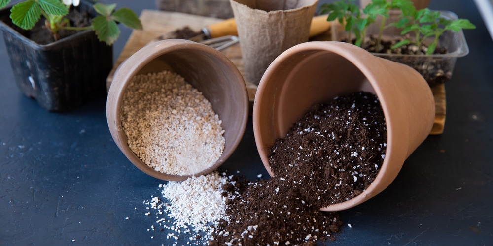 Can I use perlite instead of sand?