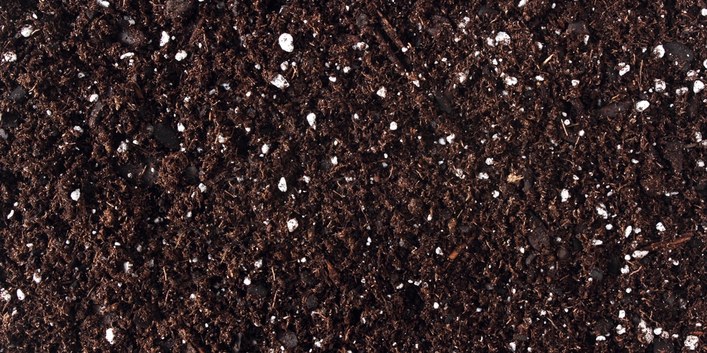 Can I Use Potting Soil in My Garden?