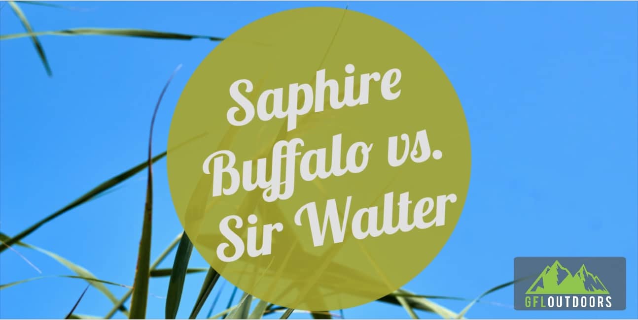 Sapphire Buffalo Grass VS Sir Walter Grass, Which is Best?