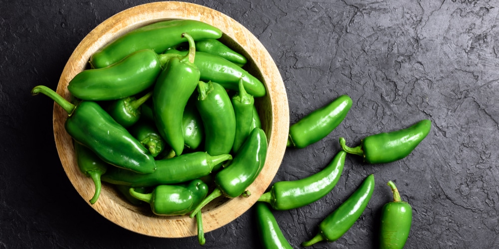 When to pick Jalapenos? 