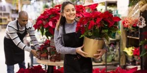 red indoor plants