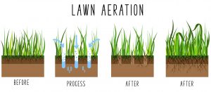 How To Aerate Lawn by Hand
