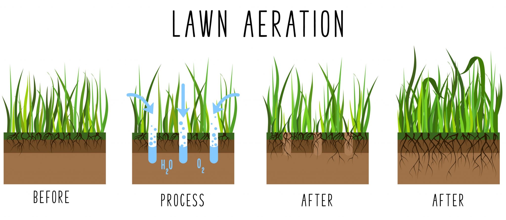 aerating centipede grass