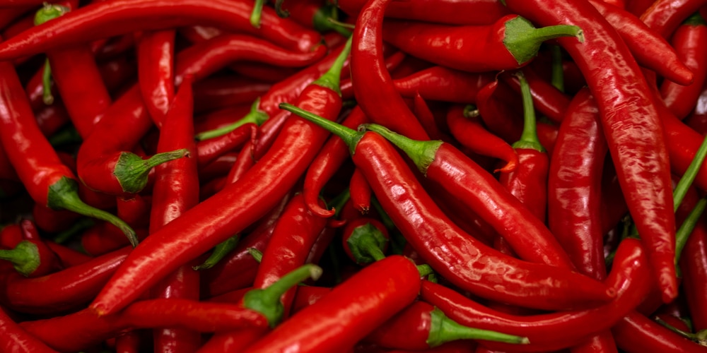 Red Fire Pepper