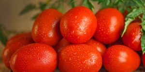small tomato varieties