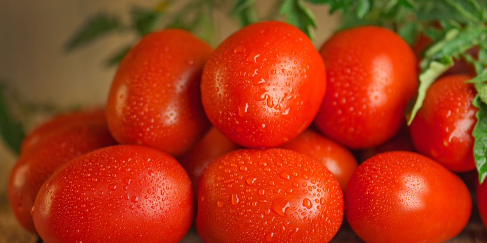 tomatillo companion plants