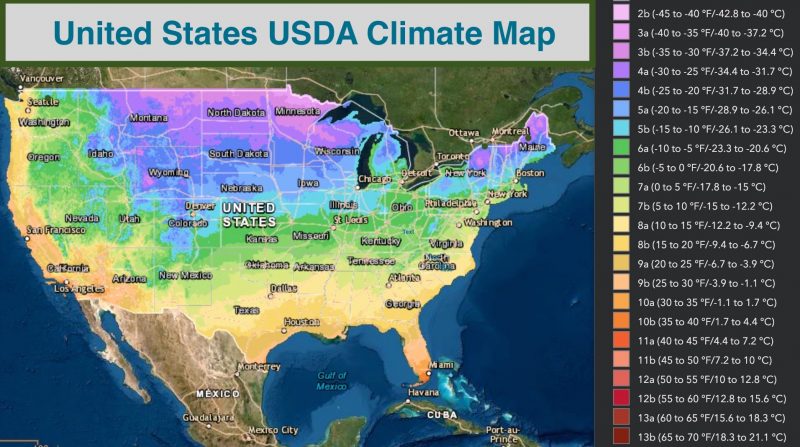 what planting zone is washington state