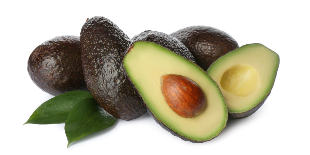 Can You Grow Avocados In South Carolina