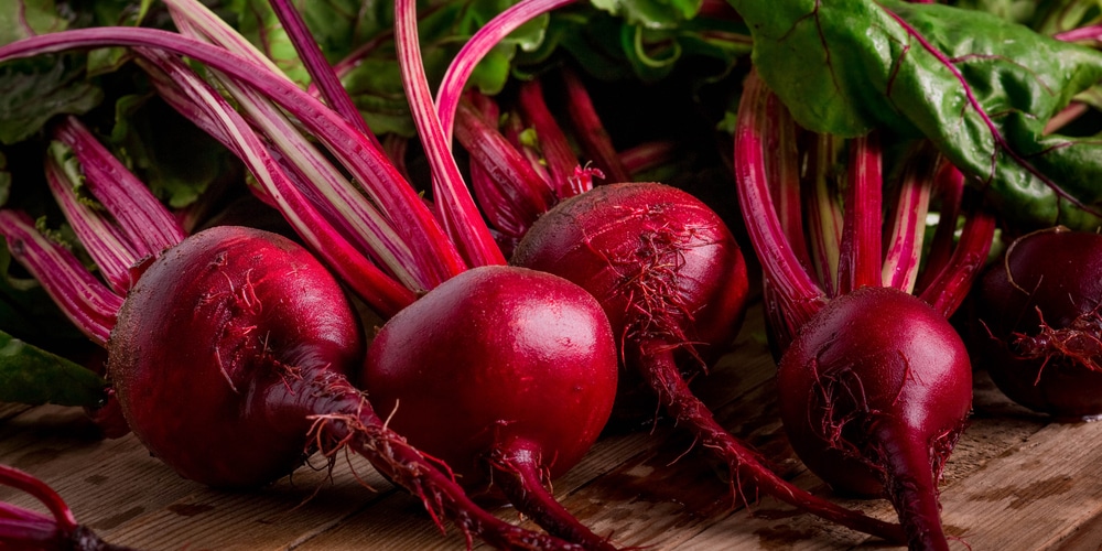 Do Beets Grow Well In Florida?
