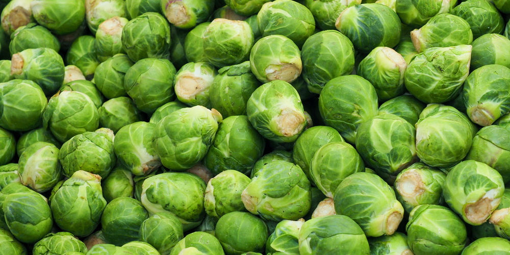 When To Plant Brussel Sprouts Zone 7 and 7b