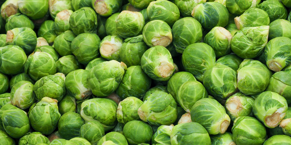 Flowering Brussel Sprout Plant