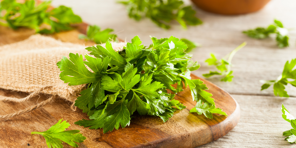 Italian Parsley vs Regular Parsley