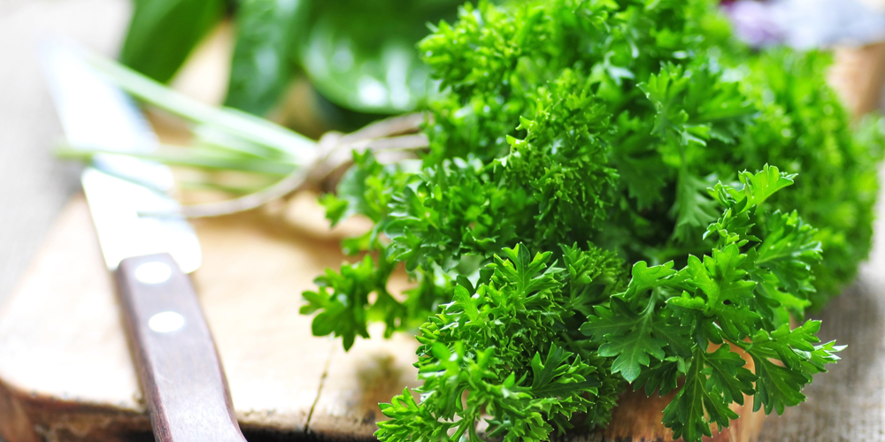 Italian Parsley vs Regular Parsley