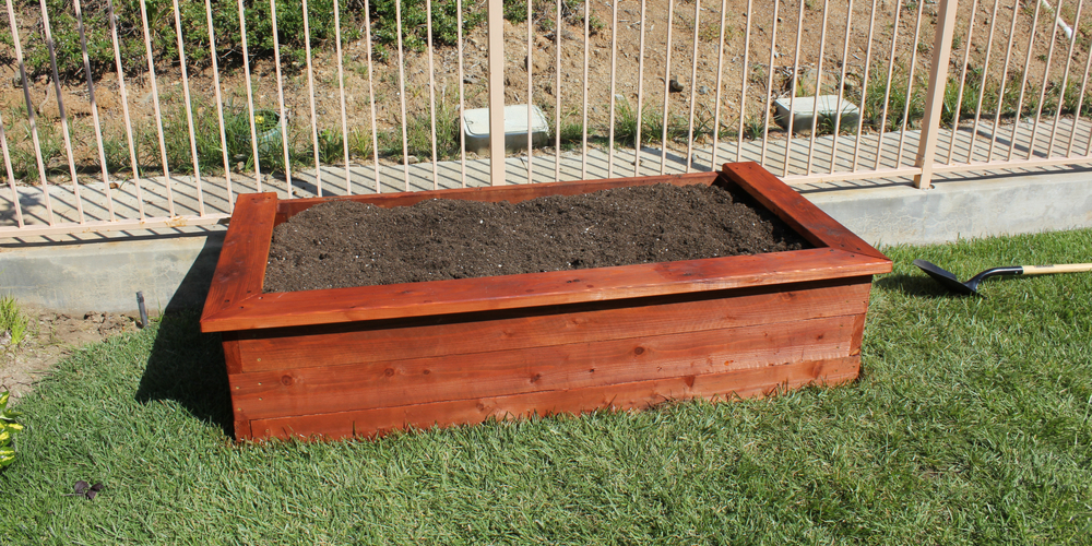 Best Wood for Raised Garden Beds