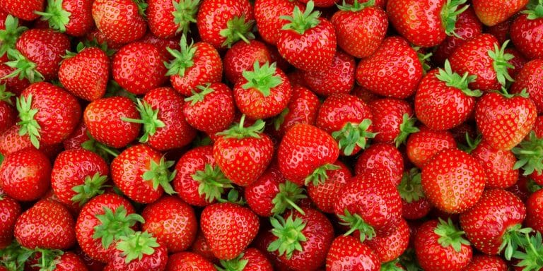 when-to-plant-strawberries-in-zone-6-the-essential-guide