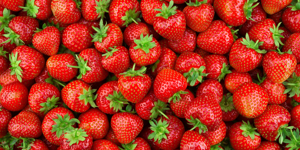 zone 9 strawberries