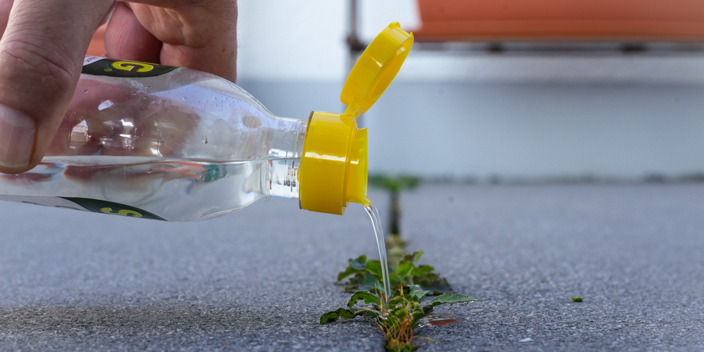 How to stop grass from growing through rocks