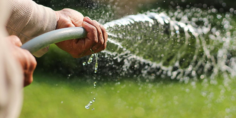 Does Watering Grass in the Sun Burn it? 