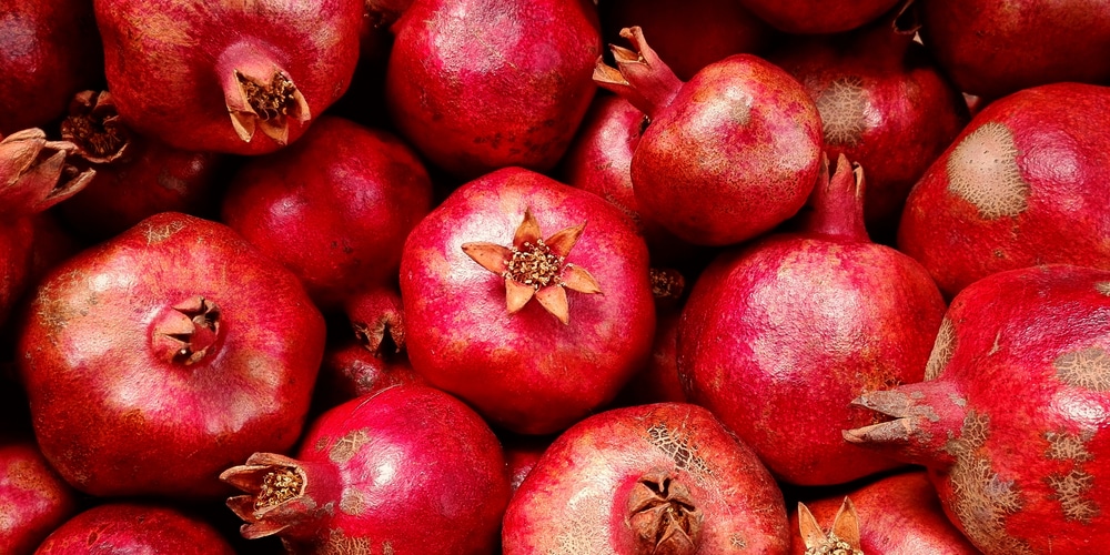 Can Pomegranates Grow In Texas