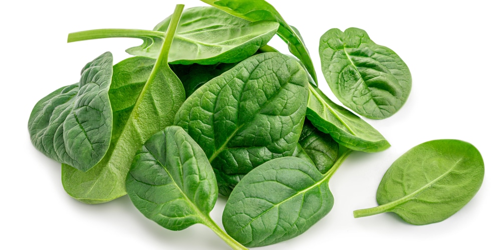 spinach types