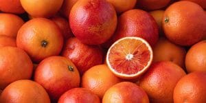 can you grow blood oranges in Florida