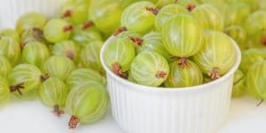 Do Gooseberries Like Clay Soil?