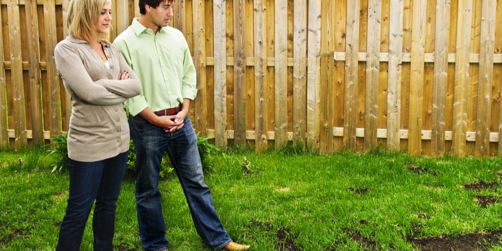 how often to water centipede grass