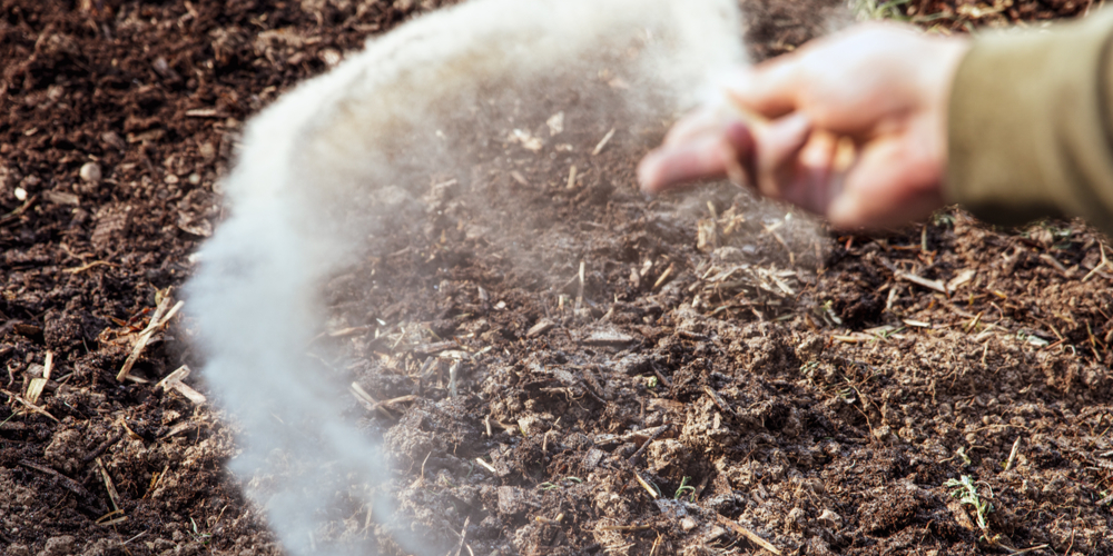 how long can grass seed go without water