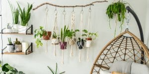 How to Hang Plants from the Ceiling Without Drilling