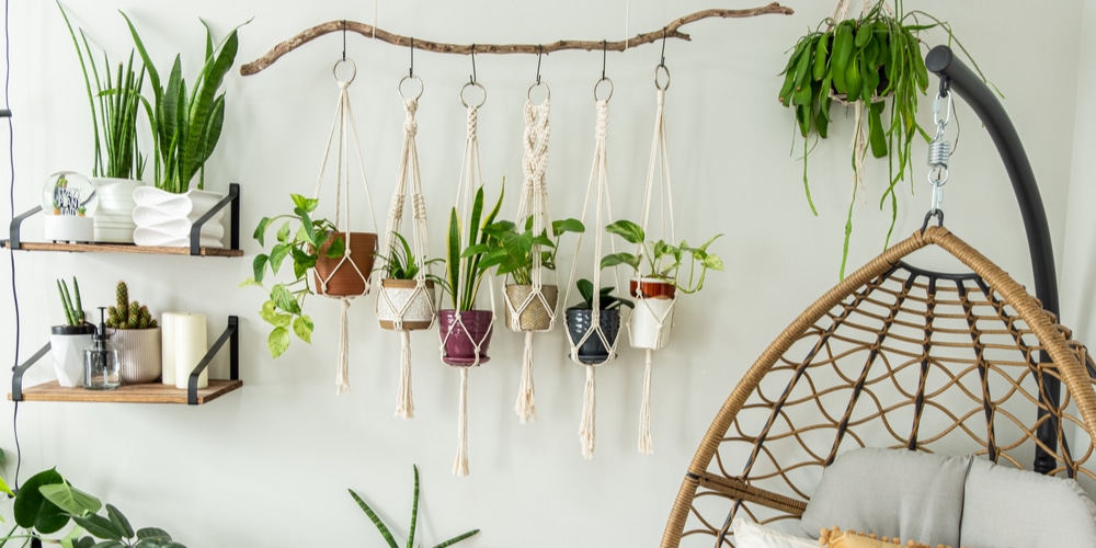 How To Hang Plants From The Ceiling Without Drilling Creative S - How To Hang Things From Ceiling Without Drilling