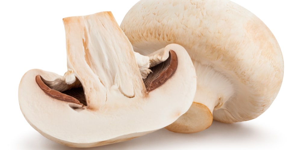  Do Mushrooms Grow in Winter? 