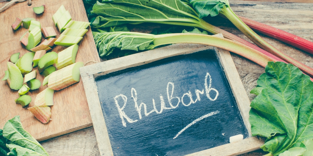 Can You Grow Rhubarb In Texas?