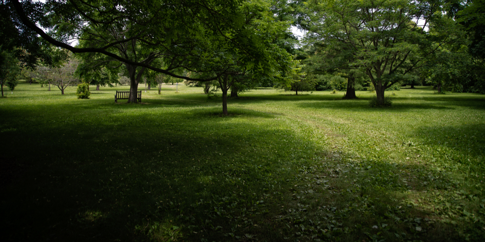 how to separate merged front yards