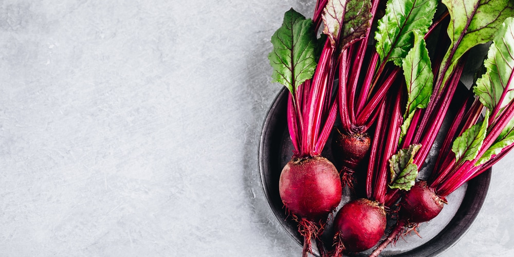 Do Beets Grow Well In Florida?