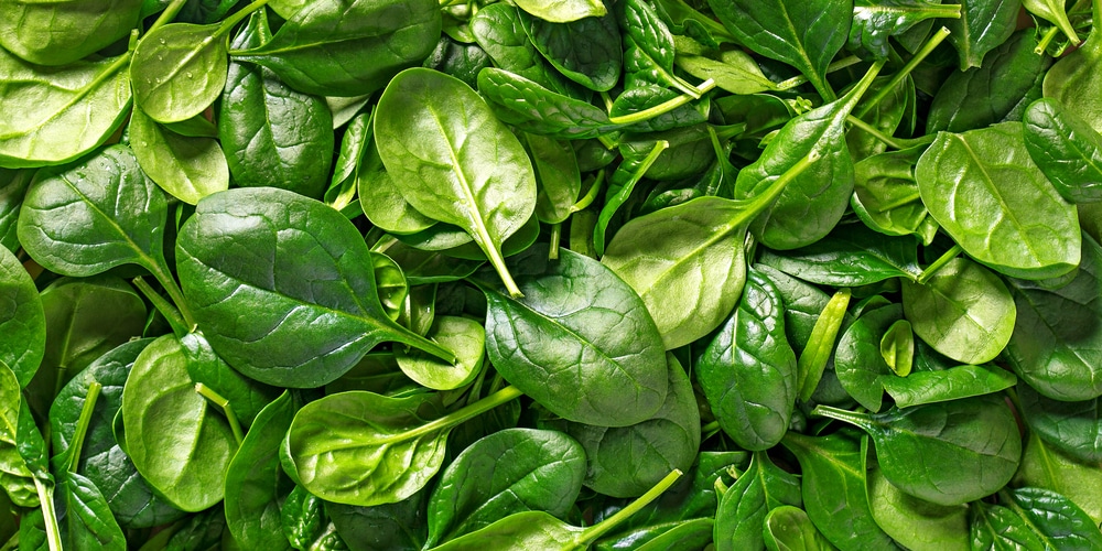 spinach types