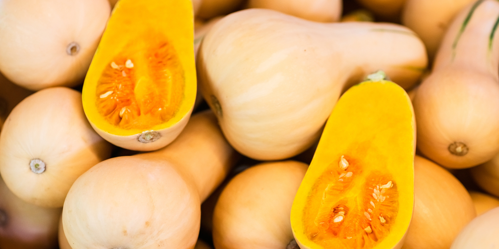 When to Plant Squash in Oklahoma: The Essential Guide