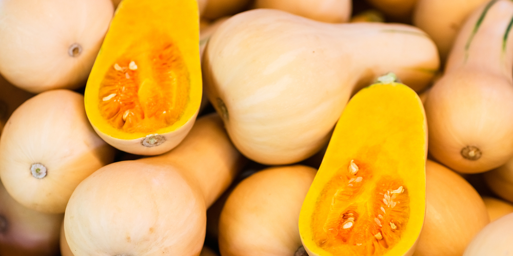 When to Harvest Butternut Squash