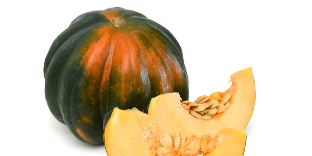 when to plant squash in oregon