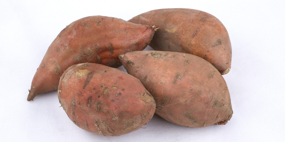 how many sweet potatoes per plant