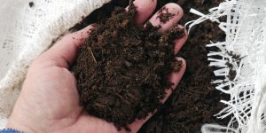 Can I Use Potting Soil in My Garden?