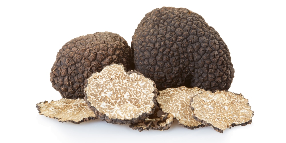 Can you Grow Truffles in Michigan?