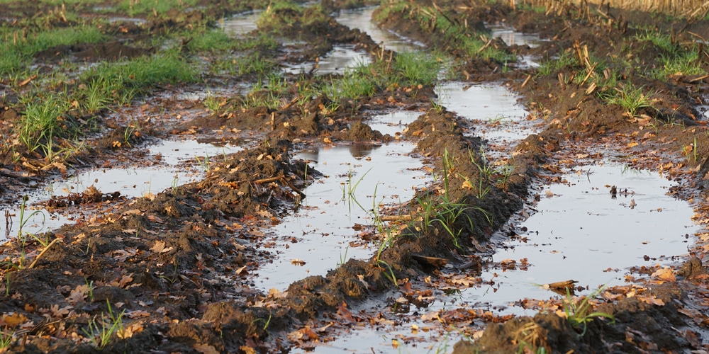 Why Does Water Move Very Slowly Downward Through Clay Soil