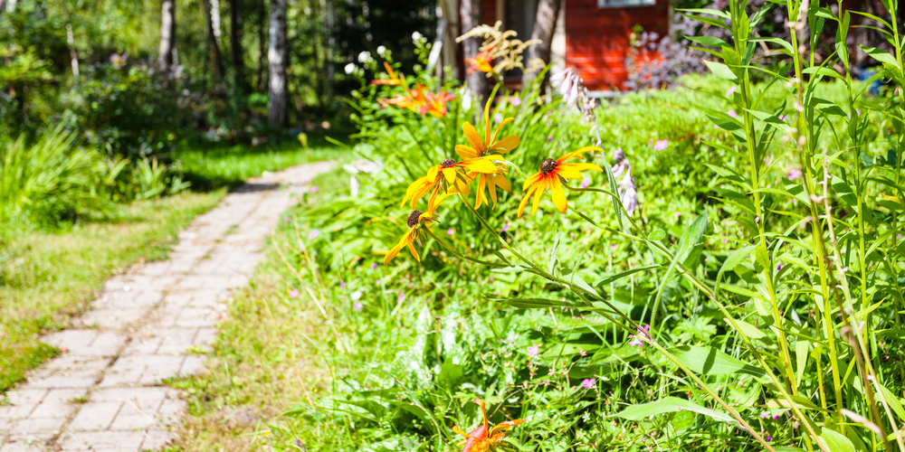 getting grass out of flower bed