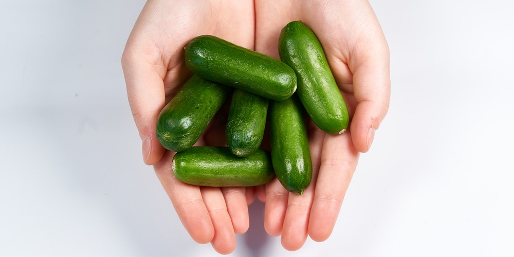 Green Finger Cucumber