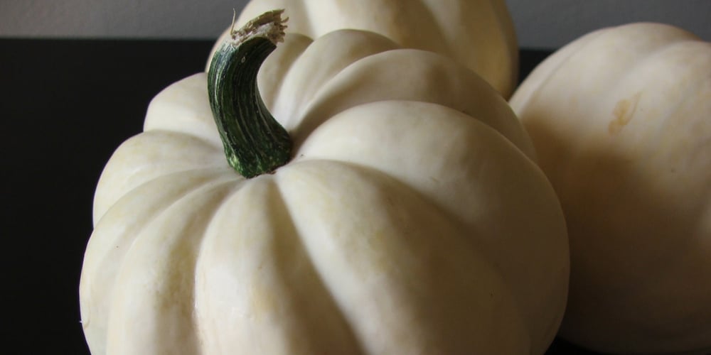 white squash varieties