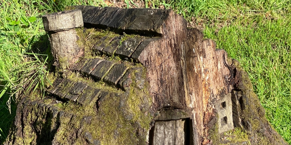 what to do with tree stumps