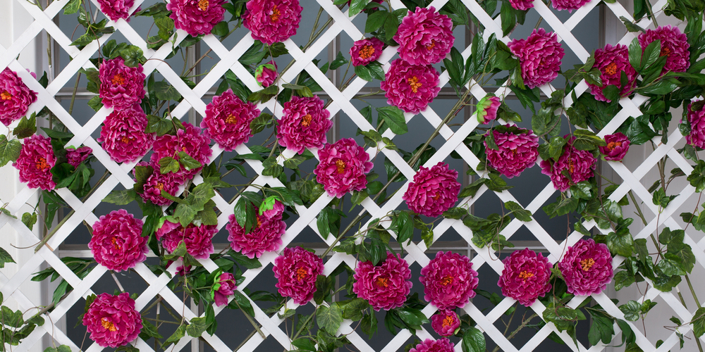 difference between pergola and trellis