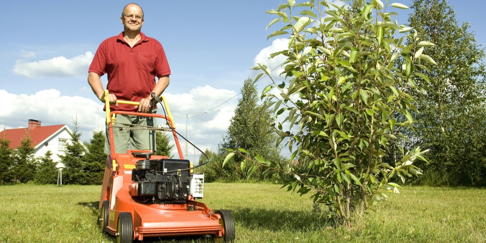 Can I Hang My Push Mower